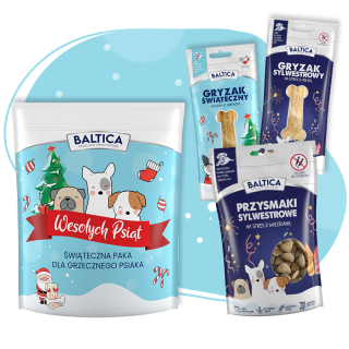 Zestaw świąteczny dla psiaka