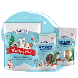 Zestaw świąteczny dla psiaka
