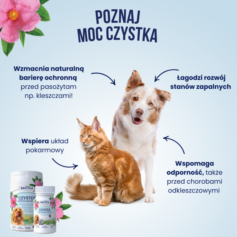 Czystek dla psa i kota 100g