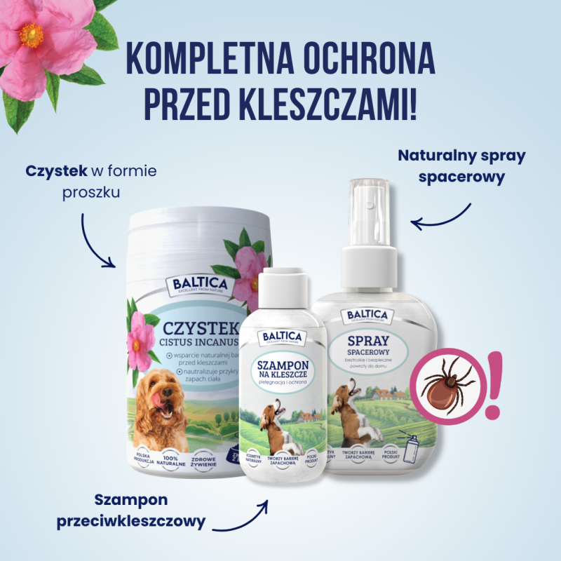 Czystek dla psa i kota 100g