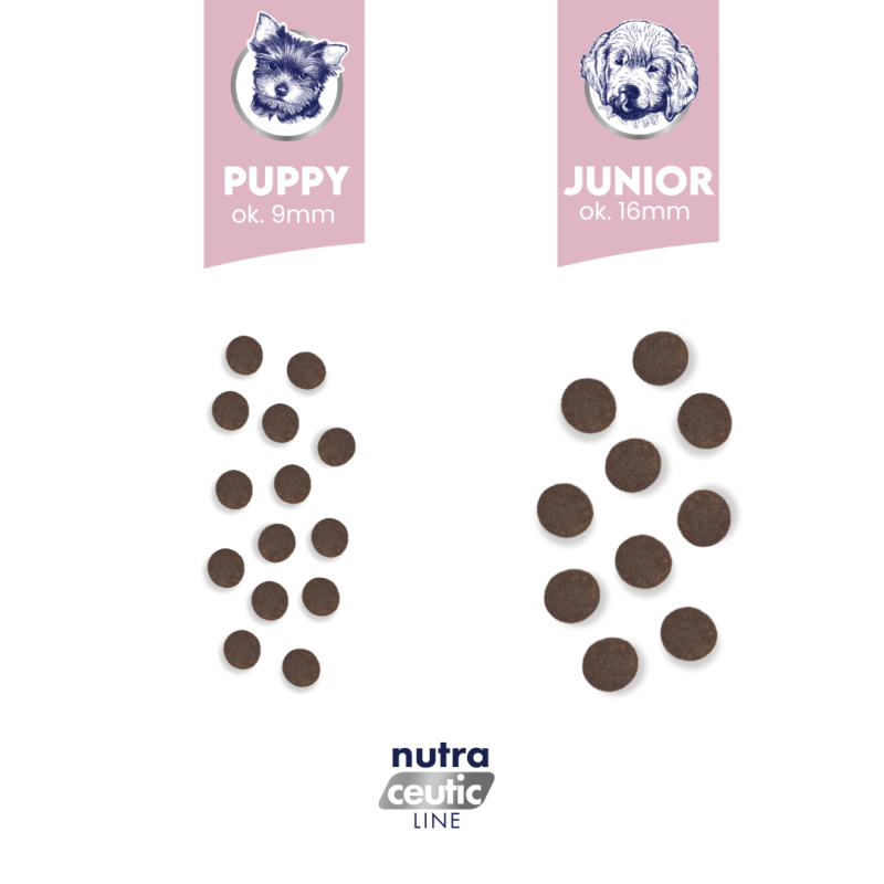 Jagnięcina z ryżem dla szczeniąt wszystkich ras karma 1kg - Baltica Nutraceutic