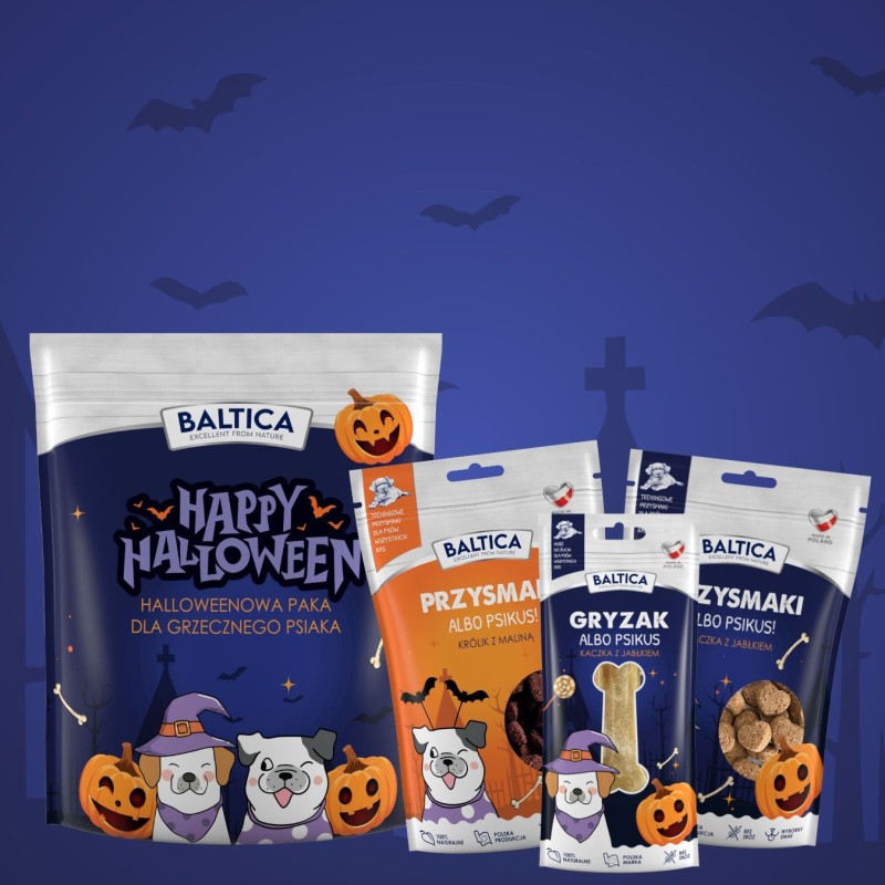 Halloweenowy zestaw grzecznego psiaka