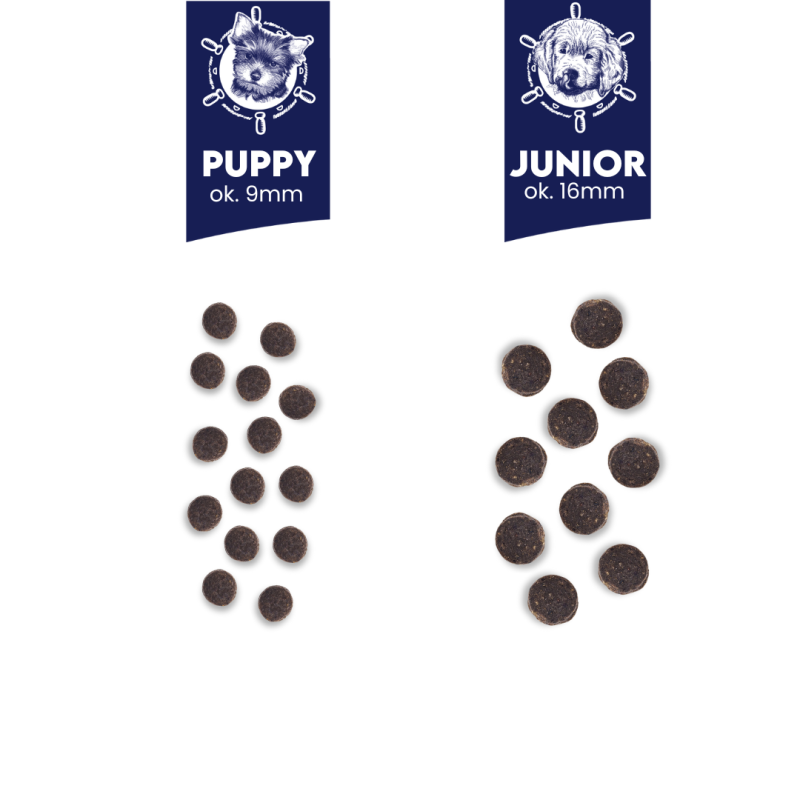 2x Łosoś (Hypoallergenic) dla szczeniąt ras średnich i dużych karma 12kg -  Baltica Excellent