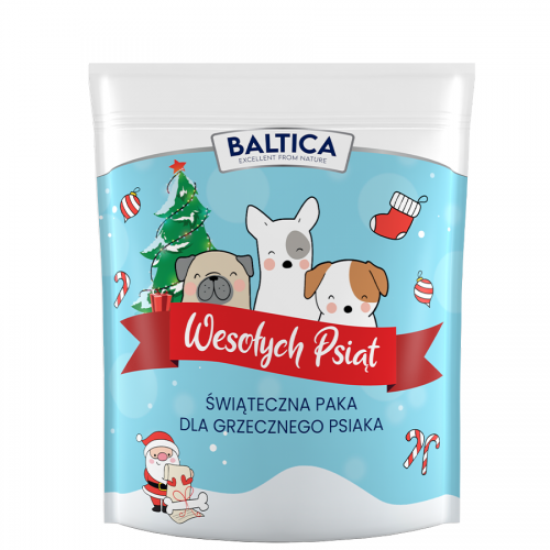 Świąteczny zestaw dla psiaka