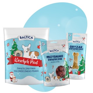 Świąteczny zestaw dla psiaka