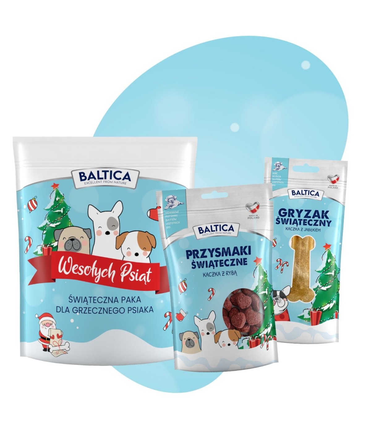 Świąteczny zestaw dla psiaka