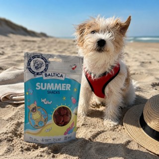 Przysmaki Hello Summer - kaczka z rybą 100g