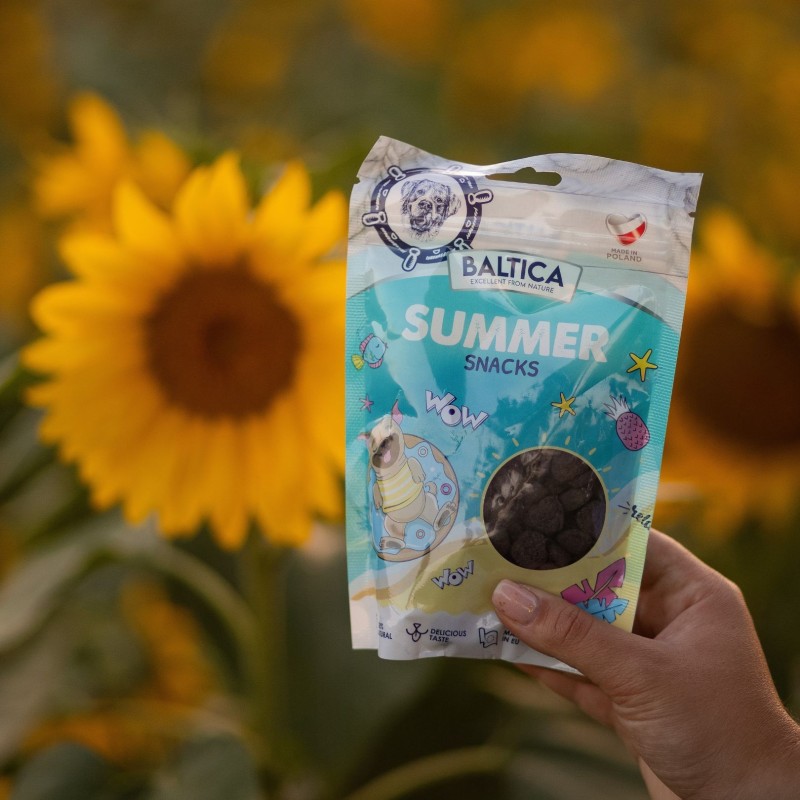 Zestaw limitowany Baltica HELLO SUMMER - idealny duet dla psa i właściciela!