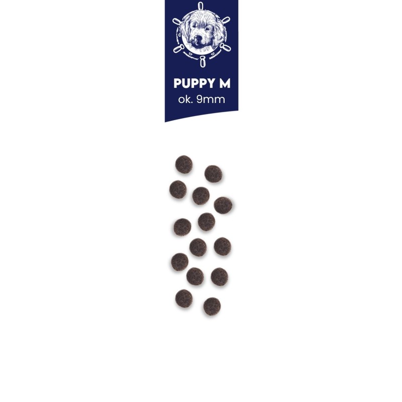 2 x 12kg Karma Puppy z łososiem z kaczką duże rasy
