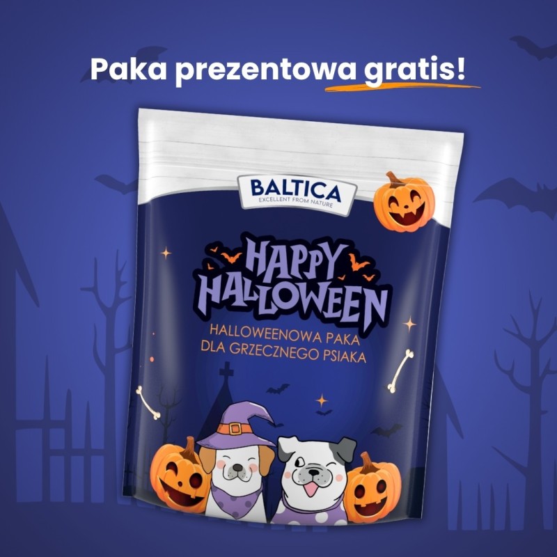 Halloweenowy zestaw grzecznego psiaka