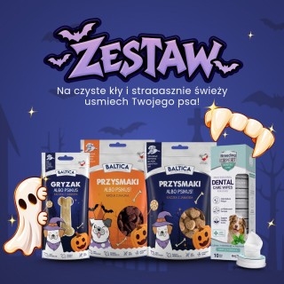 Halloweenowy zestaw czystych kłów