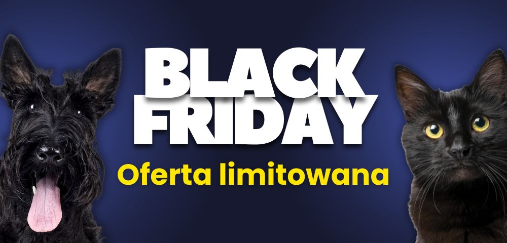 Black Friday 2025 Produkt.jpg