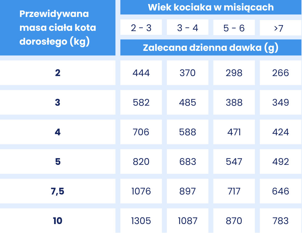 Kot dawkowanie B444.jpg