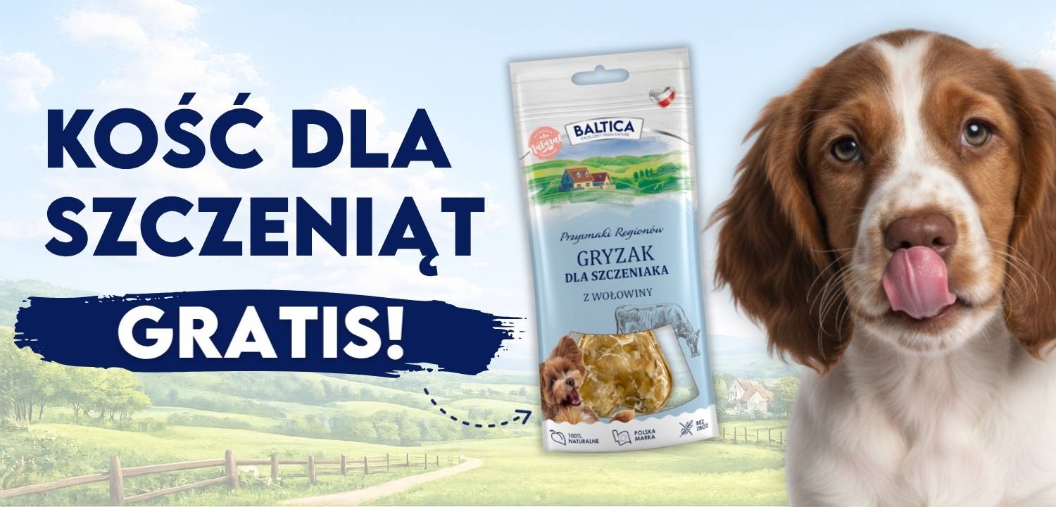 Kość GRATIS z kodem KS400G
