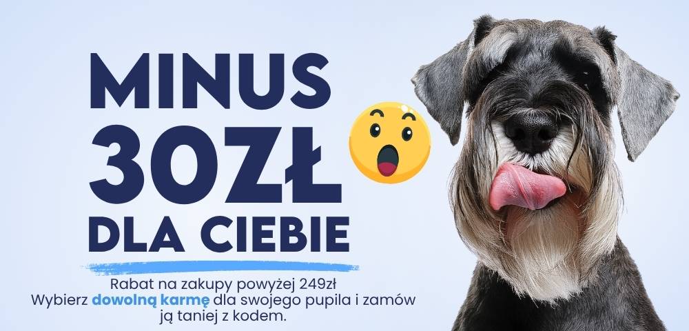 Promo 19.jpg