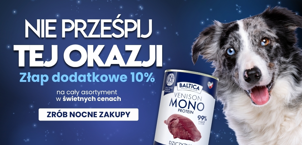 Promo 19.jpg