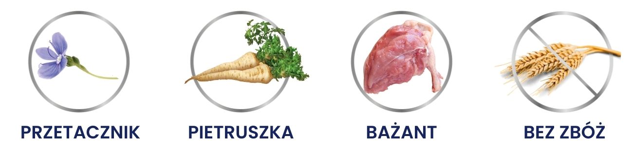 kurczak kot.jpg