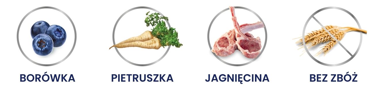 kurczak kot.jpg