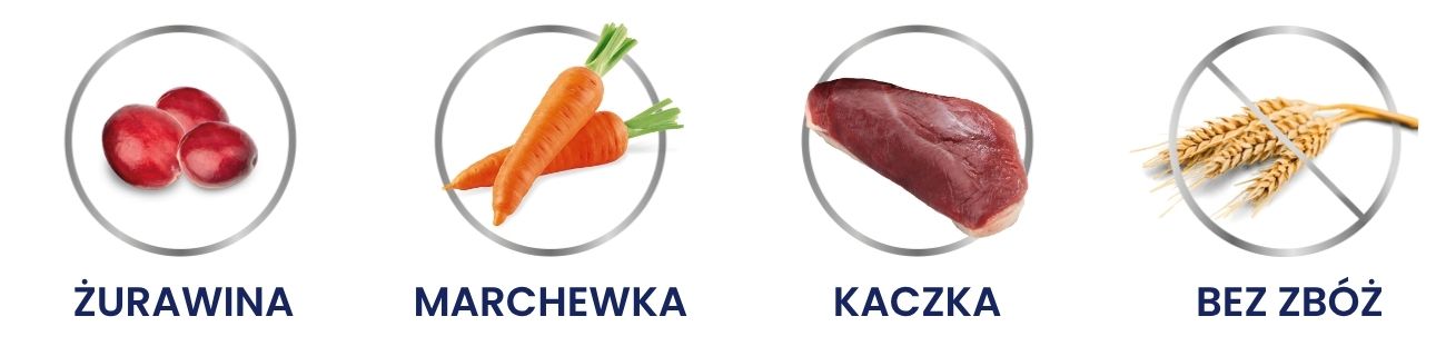 kurczak kot.jpg