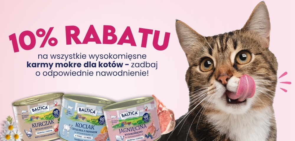 Promo 19.jpg