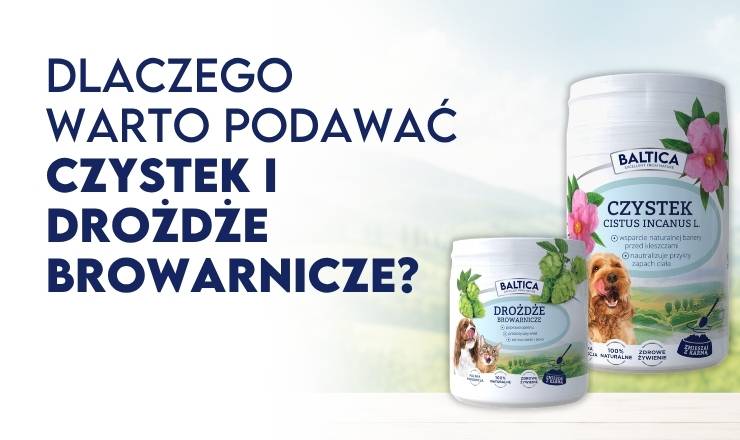Naturalny duet dla zdrowia i odporności - Blog Baltica