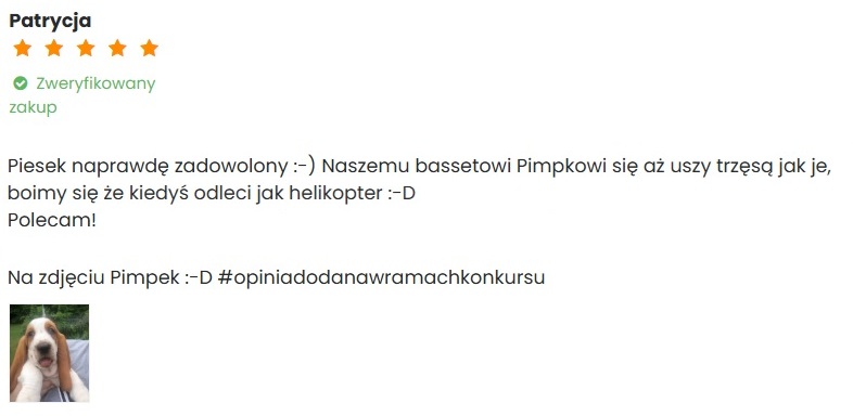 Przykładowa opinia ze zdjęciem pupila