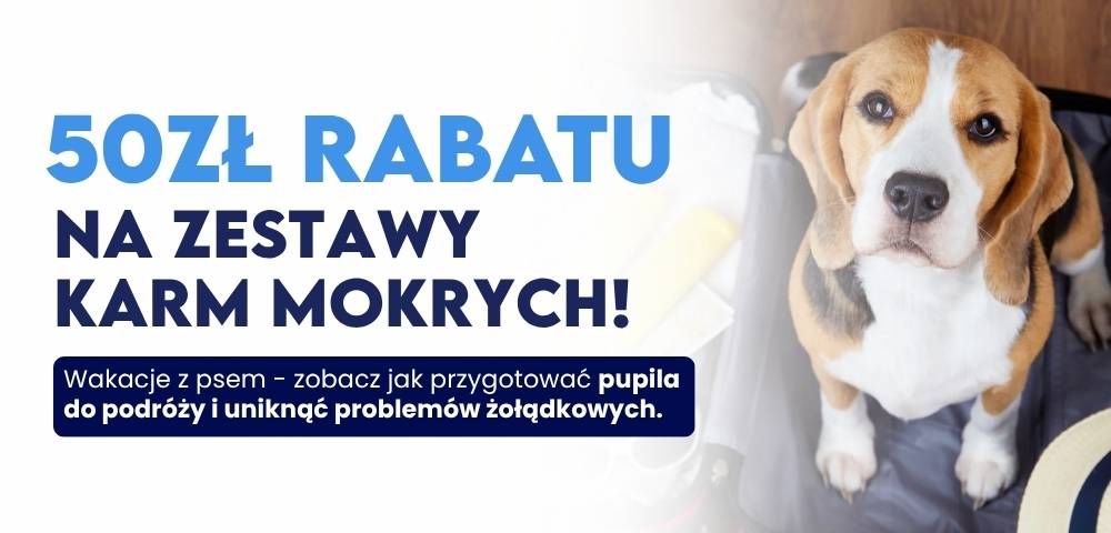 Promo 19.jpg