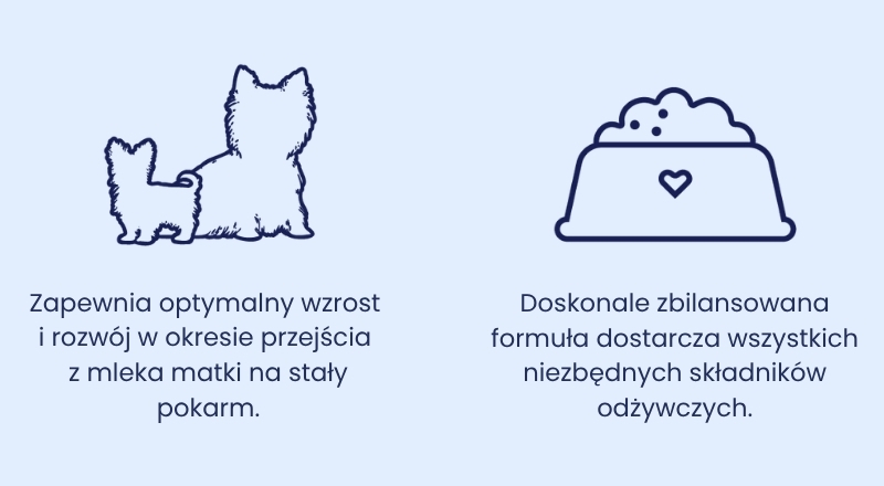 Kot dawkowanie B444.jpg