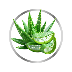 Aloes
