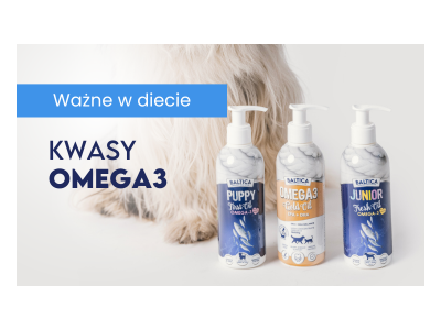 Dlaczego twój pies i kot potrzebują kwasów Omega-3?