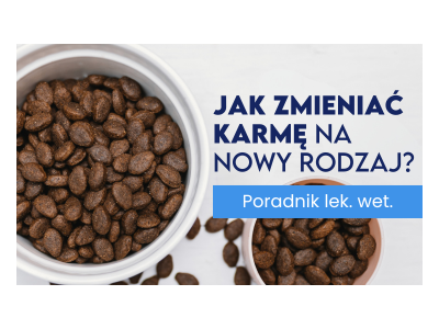 Jak zmienić karmę dla psa?