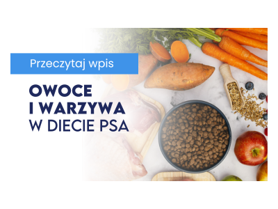 Owoce i warzywa w diecie psa – co warto wiedzieć?