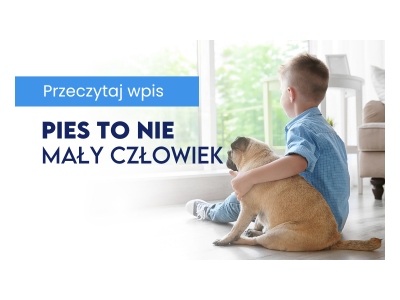 Pies to nie mały człowiek – jak różni się dieta psa od ludzkiej?