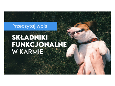 Jak składniki funkcjonalne w karmach dla psów wpływają na zdrowie i kondycję twojego pupila?