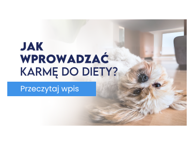 Jak prawidłowo wprowadzać nową karmę do diety psa?
