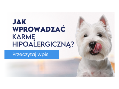 Jak bezpiecznie wprowadzać karmę hipoalergiczną do diety psa?