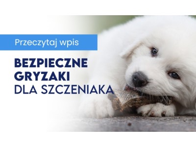 Bezpieczne gryzaki dla szczeniaka – co podać, a czego unikać?