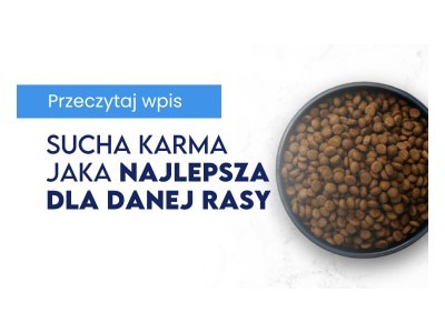 Sucha karma dla psa – jak wybrać najlepsza dla konkretnej rasy?