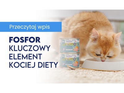 Fosfor – Niezauważalny, ale Kluczowy Element Kociej Diety