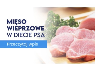 Mięso wieprzowe w diecie psa – wartościowy składnik, który łączy smak z funkcją odżywczą