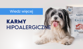 Karmy hipoalergiczne dla psów