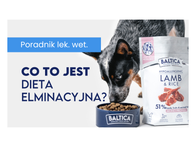 Dieta Eliminacyjna u Psów