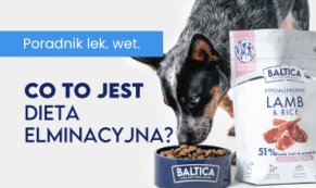 Dieta eliminacyjna u psów