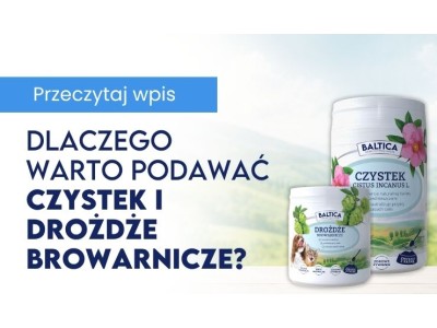 Naturalny duet dla zdrowia i odporności: Dlaczego warto podawać psu i kotu czystek oraz drożdże browarnicze?