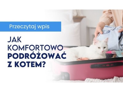 Jak komfortowo podróżować z kotem? Kompletny poradnik dla opiekunów 2026
