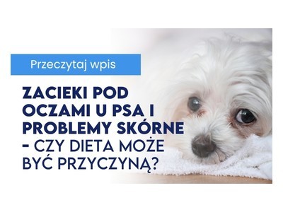 Zacieki pod oczami u psa i problemy skórne - czy dieta może być przyczyną?
