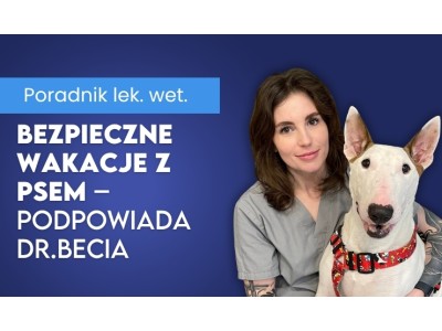 Bezpieczne wakacje z psem – jak przygotować pupila do podróży i uniknąć problemów żołądkowych?