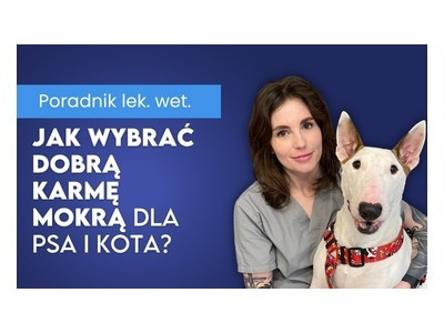 Weterynarz radzi, jak wybrać dobrą mokrą karmę dla psa i kota. 