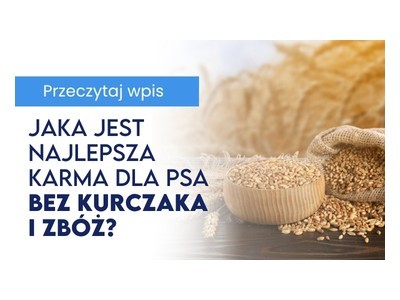 Jaka jest najlepsza karma dla psa bez kurczaka i zbóż 