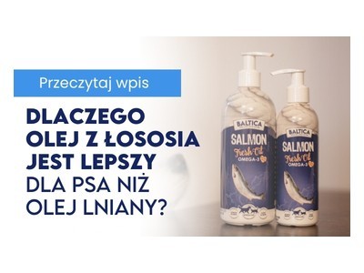 Dlaczego olej z łososia jest lepszy dla psa niż olej lniany? 